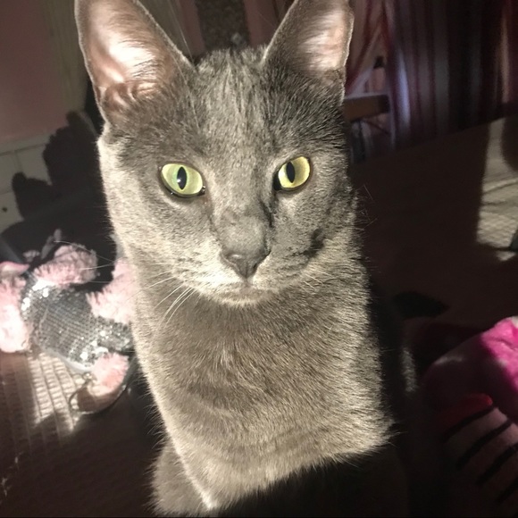 Meet your Posher, Victor - Picture 8 of 12